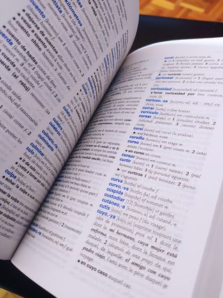 Diccionario francés español