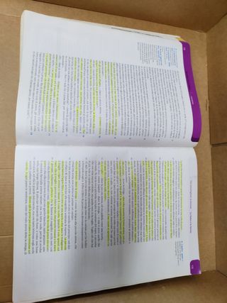 Conchiglie, narrativa