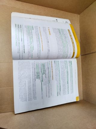 Conchiglie, narrativa