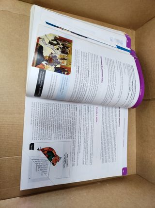 Conchiglie, narrativa