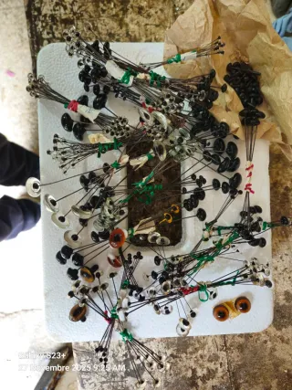 Occhi finti per imbalsamatori.