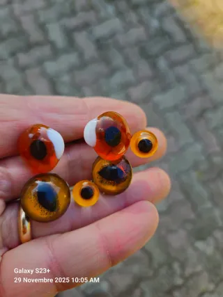 Occhi finti per imbalsamatori.