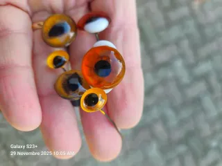 Occhi finti per imbalsamatori.