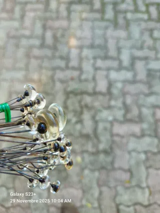 Occhi finti per imbalsamatori.