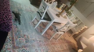 NUEVO Alfombra Grande Estilo Persa