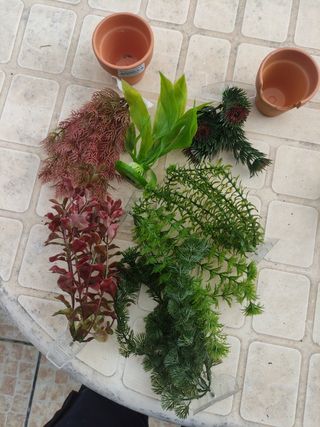 Decoración acuario 