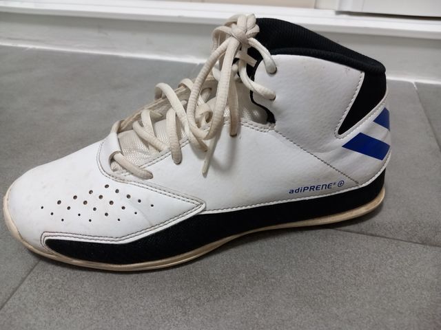 Botas de baloncesto