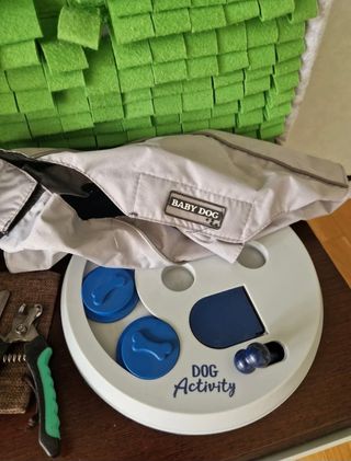 Set para perros