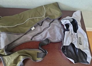 Set para perros