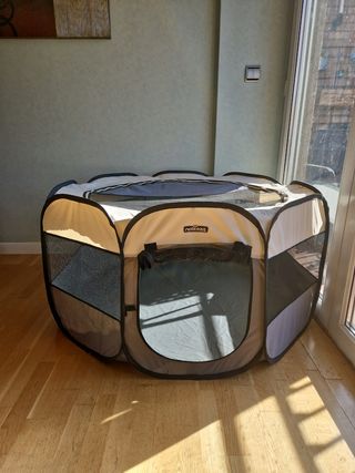 Set para perros