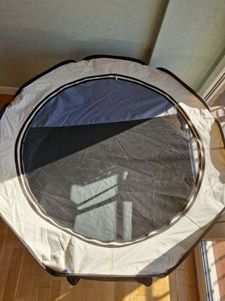 Set para perros