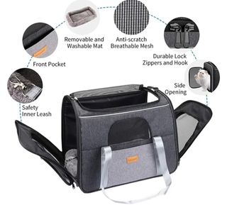 Set para perros