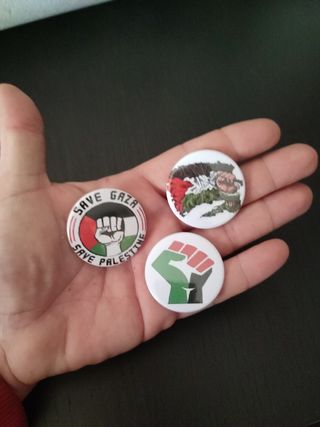 Lote 15 imanes Palestina