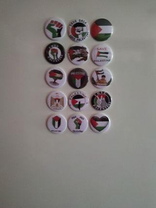 Lote 15 imanes Palestina