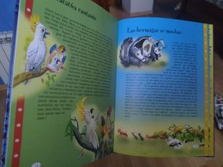 CUENTOS E HISTORIAS PARA ANTES DE DORMIR