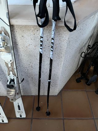 Esquis Dynastar alta gama