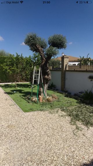 Jardinería