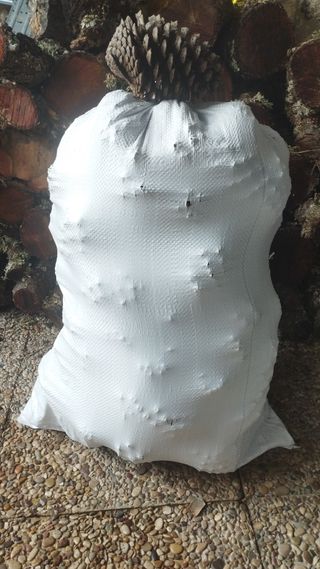 30-40 PIÑAS ENCENDÍDO SECAS