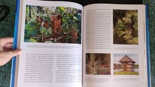 Grandes exploradores de la humanidad