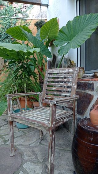 silla butaca madera teka