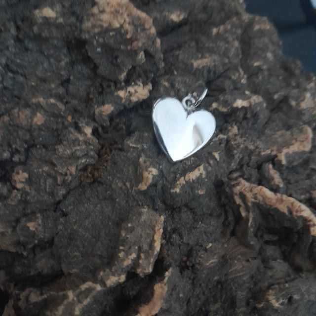 Colgante de plata de ley 925.