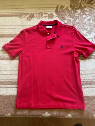 Polo Springfield