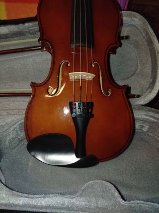 Violín
