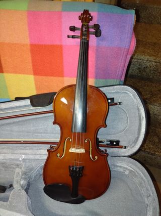 Violín