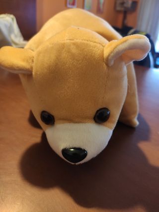 Cojín osito con velcro.