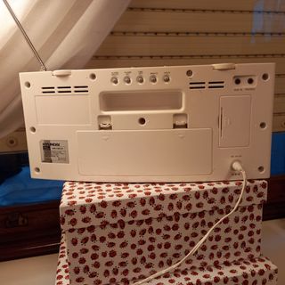 iPod Portable Docking Station