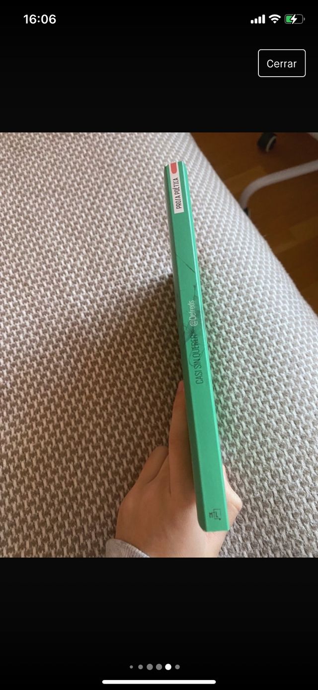 libro casi sin querer prosa poética