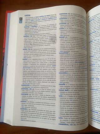 diccionario Vox
