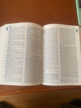 diccionario Vox