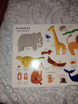 Imaginario de contrarios bilingüe. Libro infantil