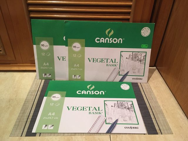 3 PAPEL VEGETAL CANSON