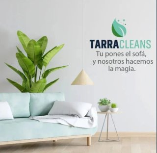 Limpieza profesional profunda de Tapiceria.