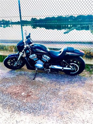 harley davidson vrod vrscr 1200cc