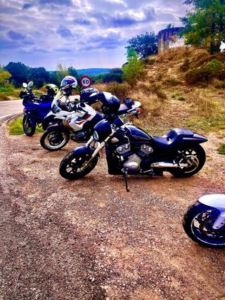 harley davidson vrod vrscr 1200cc