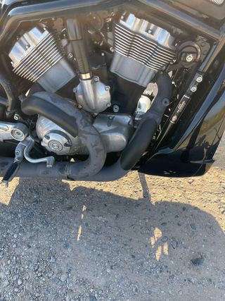 harley davidson vrod vrscr 1200cc