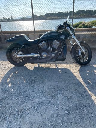 harley davidson vrod vrscr 1200cc