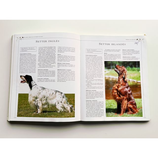 EL GRAN LIBRO DE LOS PERROS DE RAZA