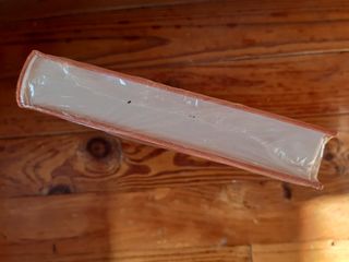 El misterio del ahorcado (Michael Jecks)