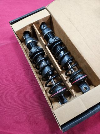 Amortiguadores Progressive 490 Series