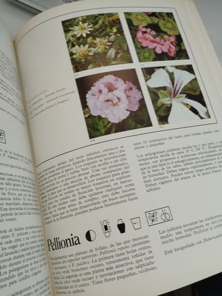 Plantas de interior LIBRO