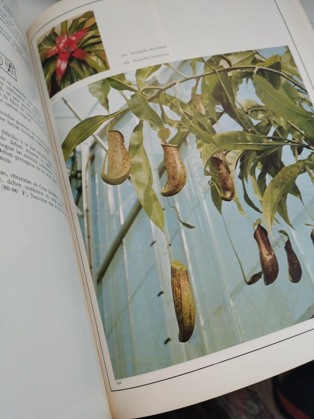 Plantas de interior LIBRO