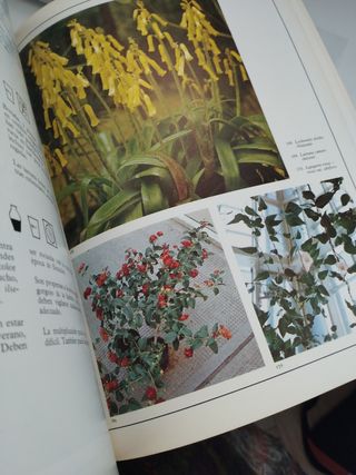 Plantas de interior LIBRO