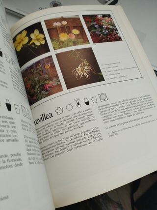 Plantas de interior LIBRO