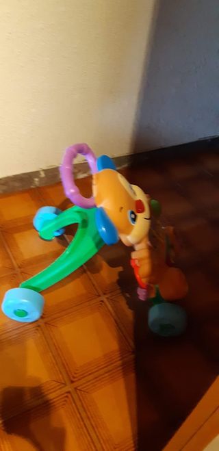 Andador perrito primeros pasos