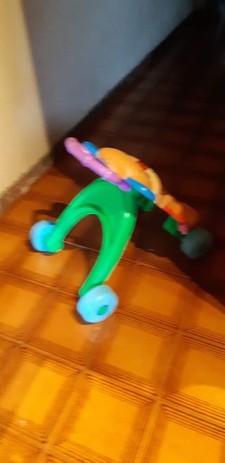 Andador perrito primeros pasos