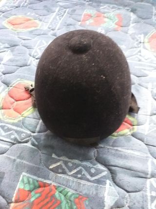 Casco hipica